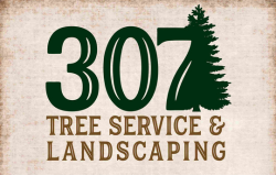 307 Tree Service & Landscaping Logo